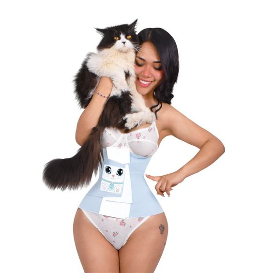 Faja reloj de arena celeste gatito